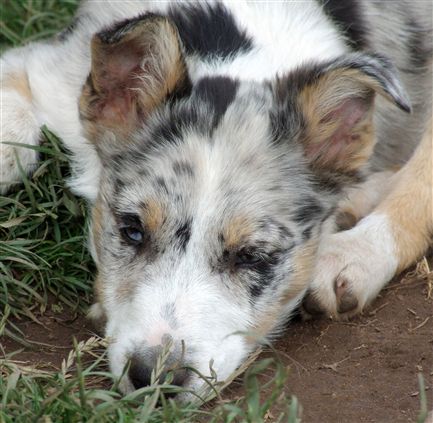 Click for large image