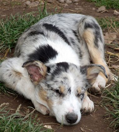 Click for large image