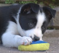 Click for large image