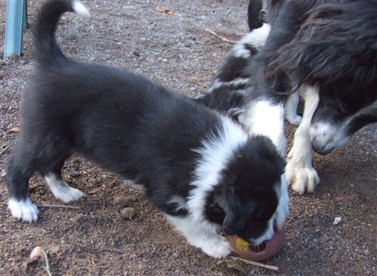 Click for large image