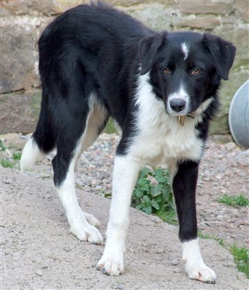 Click for large image