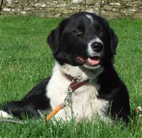 Click for large image