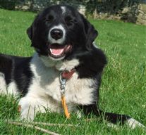 Click for large image