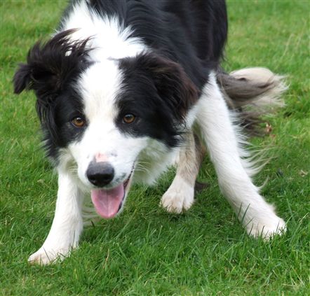 Click for large image