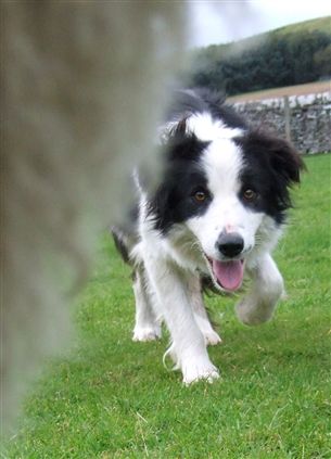 Click for large image