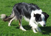 Click for large image