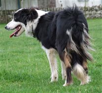 Click for large image