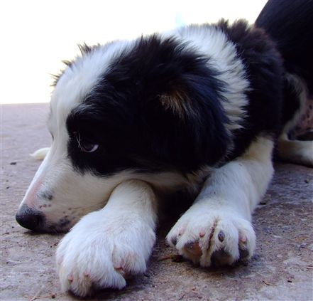 Click for large image