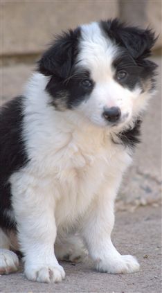 Click for large image