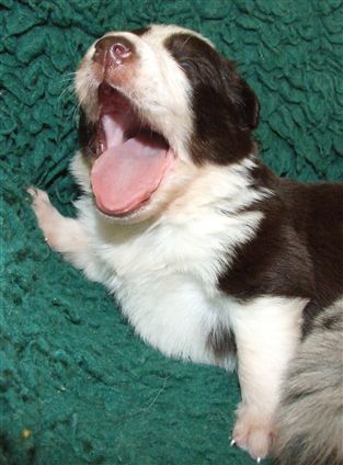 Click for large image