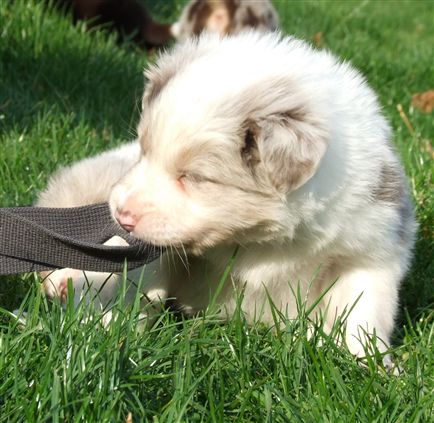 Click for large image