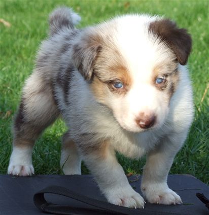 Click for large image