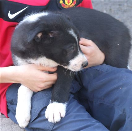 Click for large image