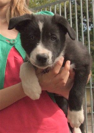 Click for large image