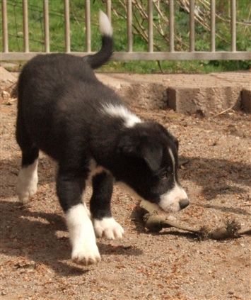 Click for large image