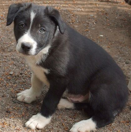 Click for large image