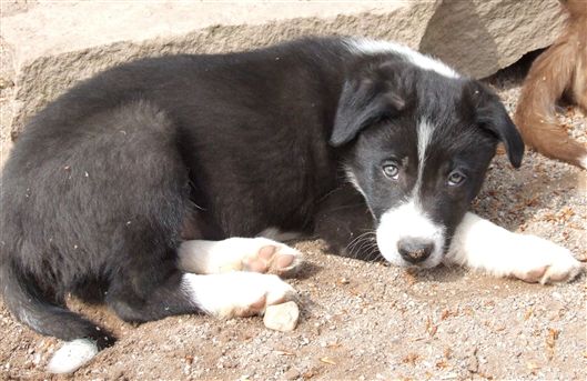 Click for large image