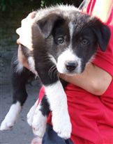 Click for large image