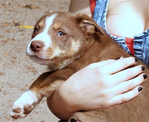 Click for large image