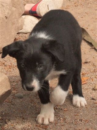 Click for large image