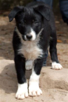 Click for large image