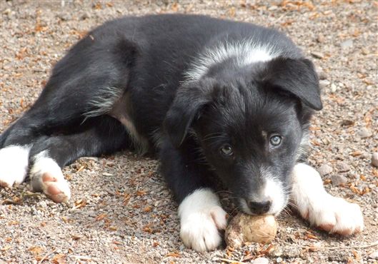 Click for large image