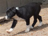 Click for large image