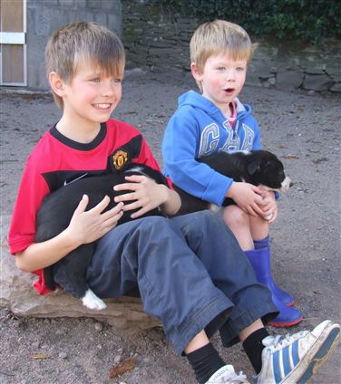 Click for large image