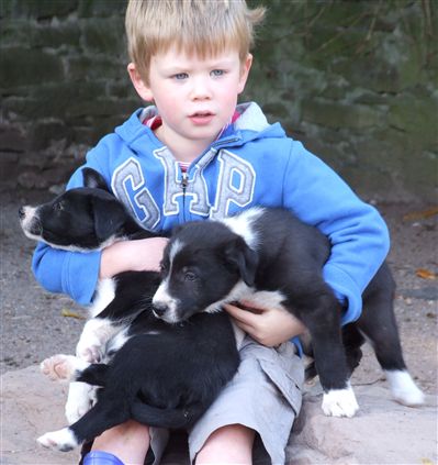 Click for large image