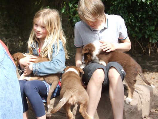 Click for large image