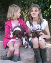 Click for large image