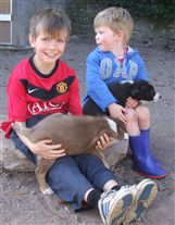 Click for large image