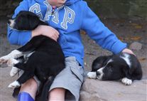 Click for large image