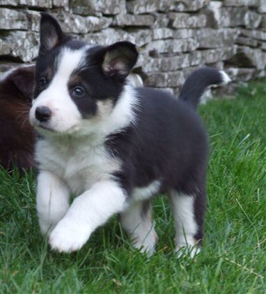 Click for large image