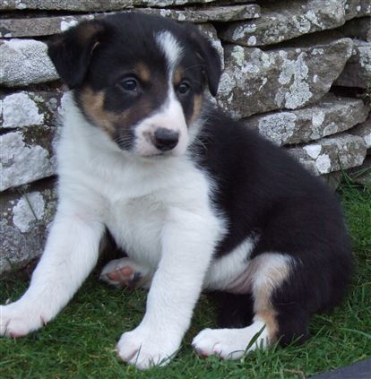 Click for large image