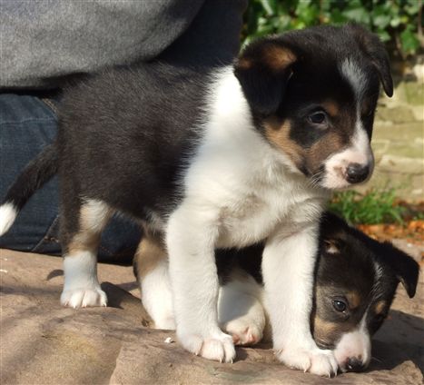 Click for large image