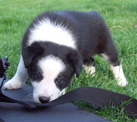 Click for large image