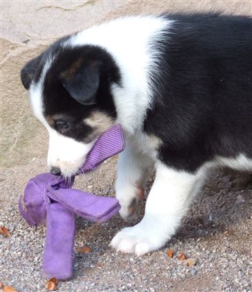 Click for large image