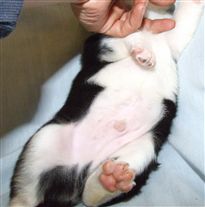 Click for large image