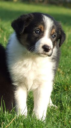 Click for large image