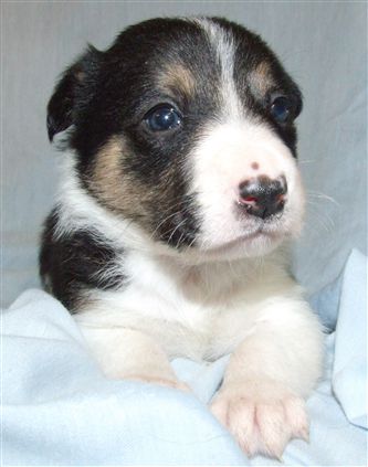 Click for large image