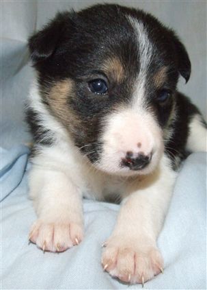 Click for large image