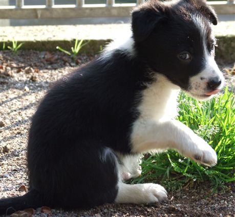 Click for large image