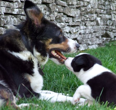 Click for large image