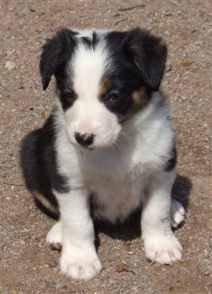 Click for large image