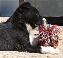 Click for large image