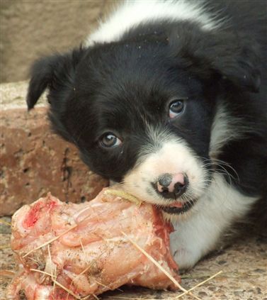 Click for large image