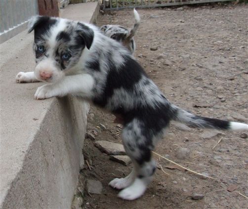 Click for large image