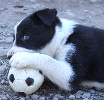 Click for large image