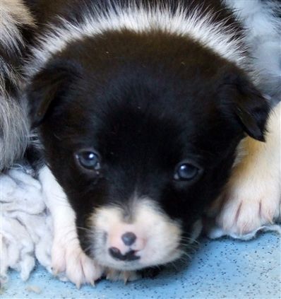 Click for large image